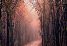 明升88登录:費迪南德&斯科爾斯:霍伊倫德有極大的潛力,希望他在曼聯發揮出更大實力.