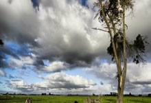 NBA:客场取胜 骑士队113-95击败勇士队.