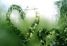 21-22賽季意甲聯賽第22輪比賽集錦.