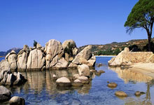 歐聯杯1/8決賽首回合熱刺2-0薩格勒布迪納摩 拉梅拉中柱凱恩梅開二度.